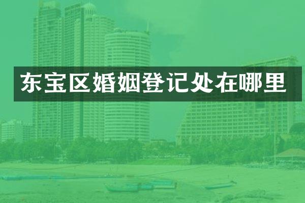 东宝区婚姻登记处在哪里