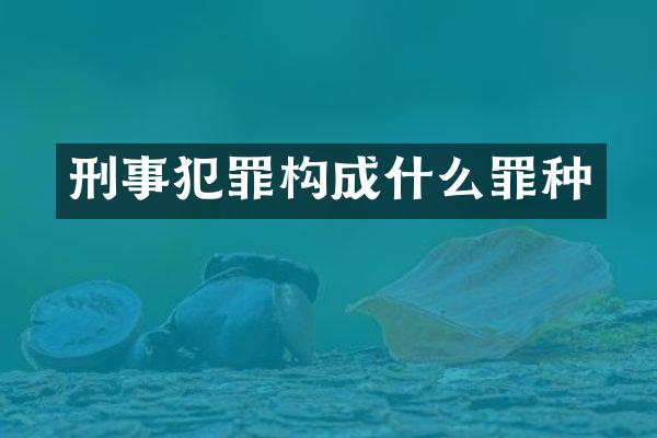 刑事犯罪构成什么罪种