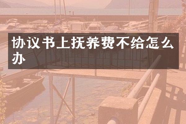 协议书上抚养费不给怎么办