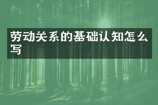 劳动关系的基础认知怎么写