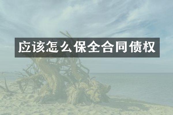 应该怎么保全合同债权