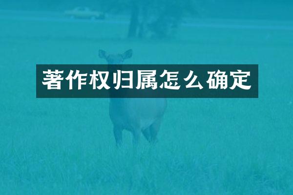 著作权归属怎么确定