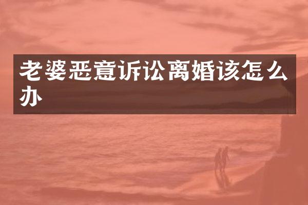 老婆恶意诉讼离婚该怎么办