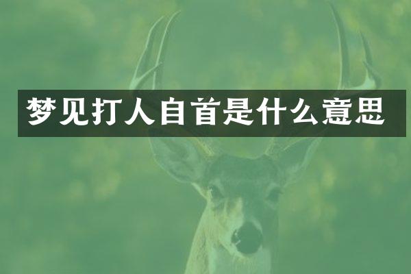 梦见打人自首是什么意思