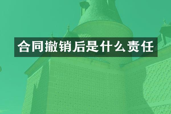 合同撤销后是什么责任