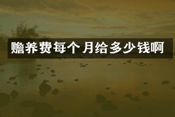 赡养费每个月给多少钱啊
