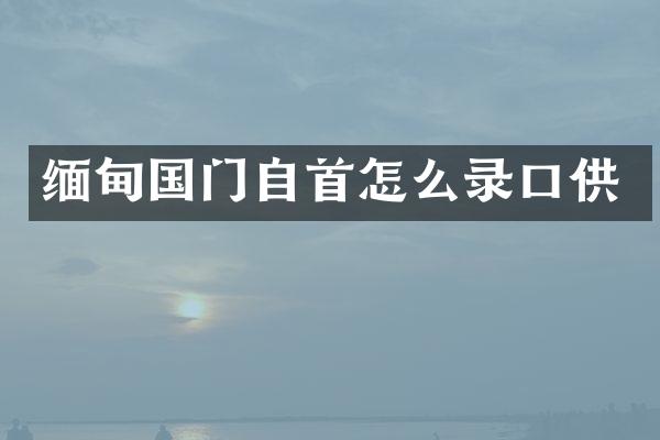 缅甸国门自首怎么录口供
