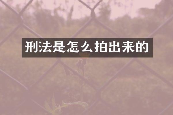 刑法是怎么拍出来的