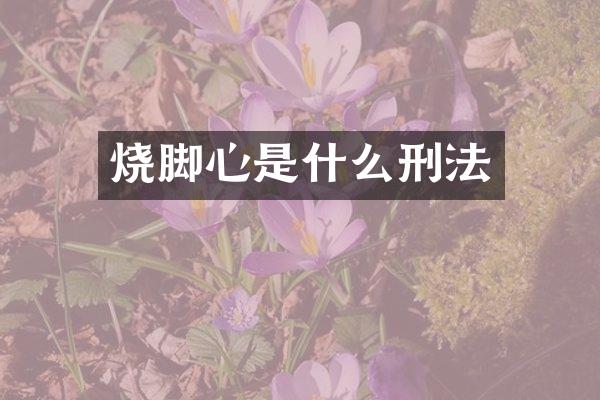 烧脚心是什么刑法
