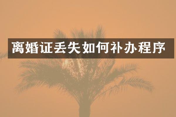 丢失如何补办程序