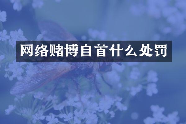 网络自首什么处罚