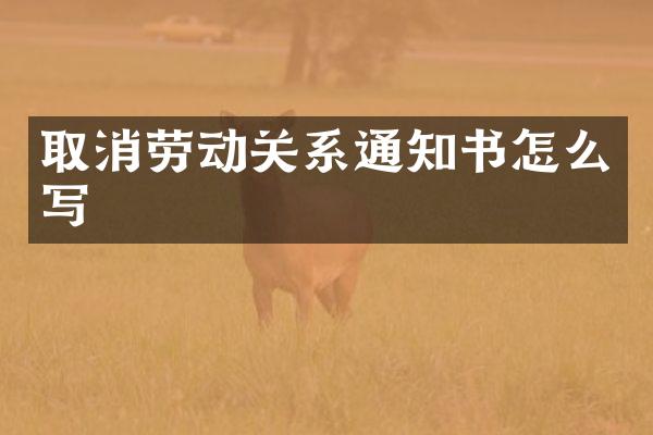 取消劳动关系通知书怎么写