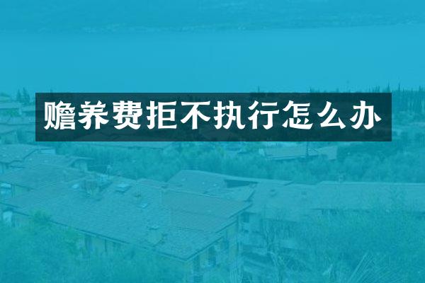 赡养费拒不执行怎么办
