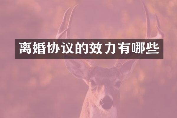 离婚协议的效力有哪些