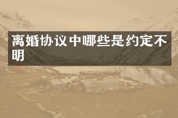 离婚协议中哪些是约定不明