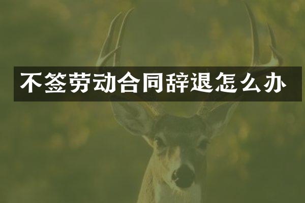 不签劳动合同辞退怎么办