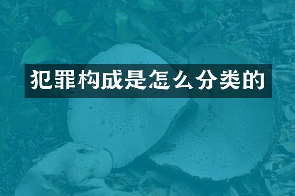 犯罪构成是怎么分类的