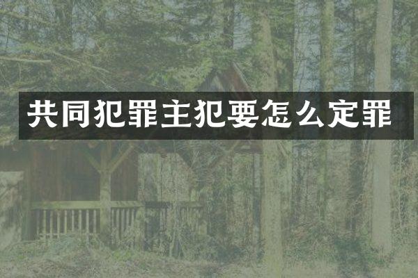 共同犯罪要怎么定罪