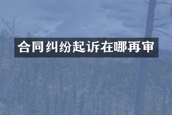 合同纠纷起诉在哪再审