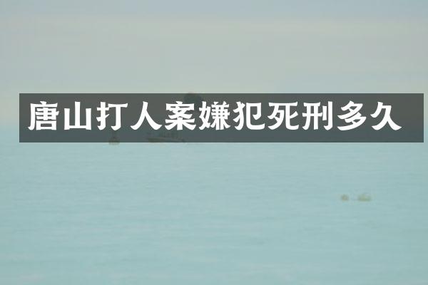 唐山打人案嫌犯死刑多久