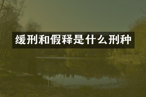 缓刑和假释是什么刑种