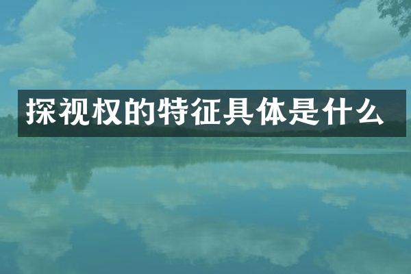 探视权的特征具体是什么