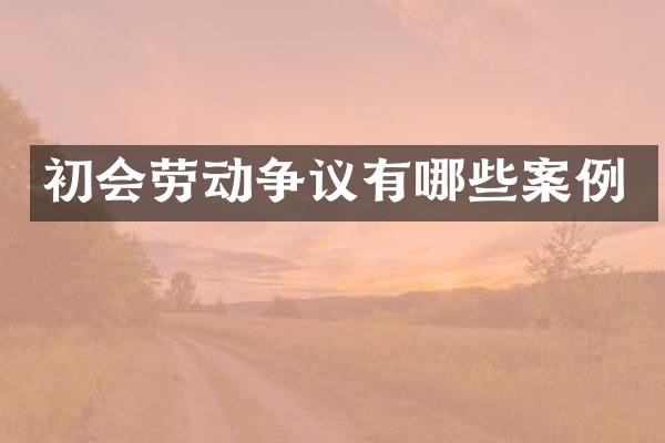 初会劳动争议有哪些案例