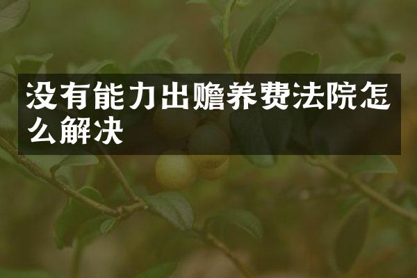 没有能力出赡养费法院怎么解决