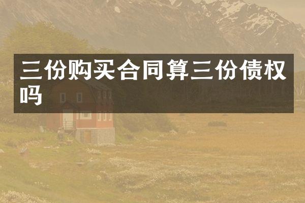 三份购买合同算三份债权吗