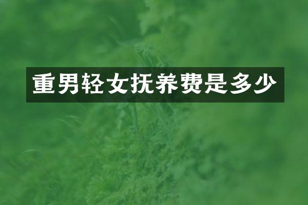 重男轻女抚养费是多少