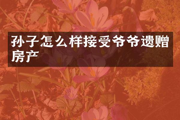 孙子怎么样接受爷爷遗赠房产