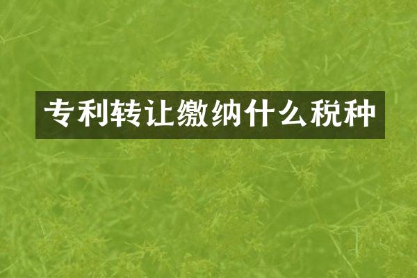专利转让缴纳什么税种