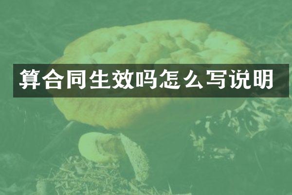 算合同生效吗怎么写说明