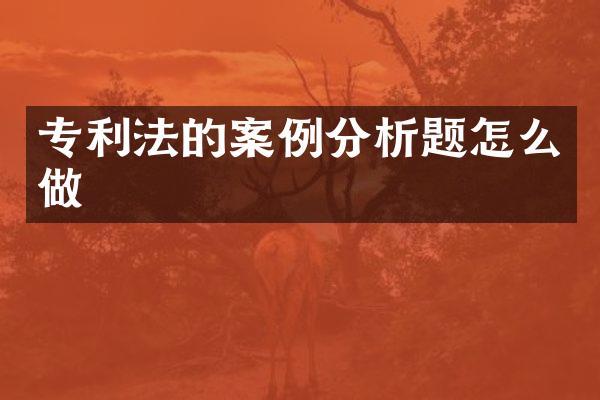 专利法的案例分析题怎么做