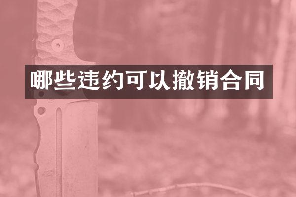 哪些违约可以撤销合同