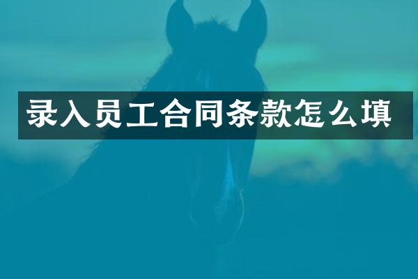 录入员工合同条款怎么填