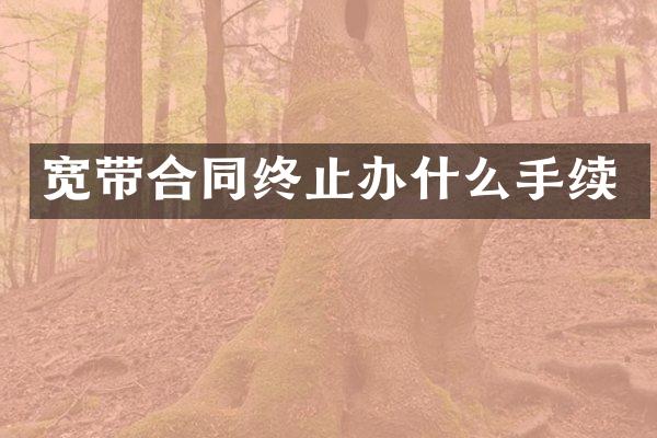 宽带合同终止办什么手续