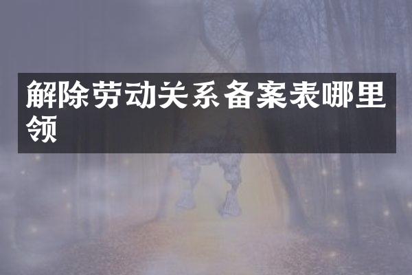 解除劳动关系备案表哪里领