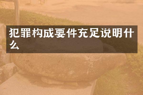 犯罪构成要件充足说明什么