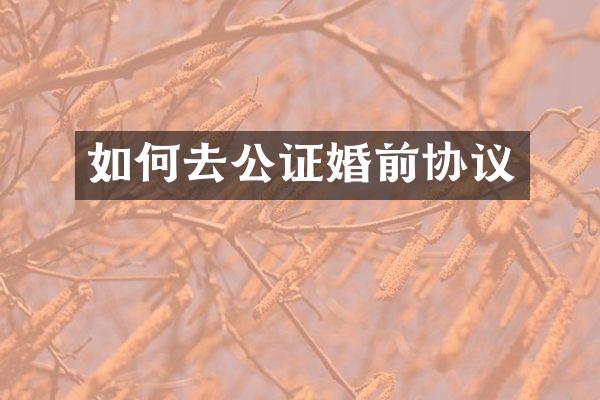 如何去公证婚前协议
