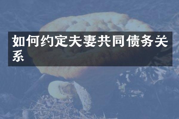 如何约定夫妻共同债务关系
