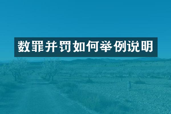 数罪并罚如何举例说明