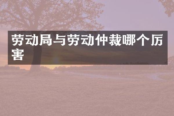 劳动局与劳动仲裁哪个厉害
