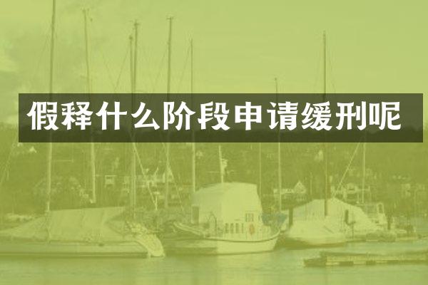 假释什么阶段申请缓刑呢