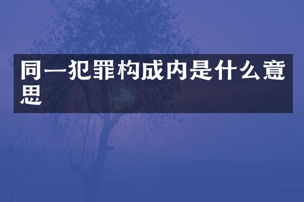 同一犯罪构成内是什么意思