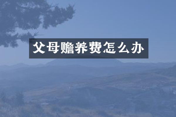 父母赡养费怎么办