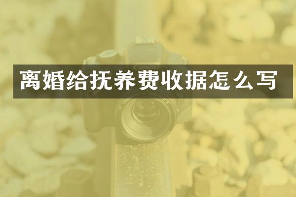 离婚给抚养费收据怎么写