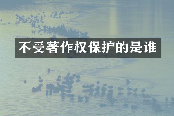 不受著作权保护的是谁