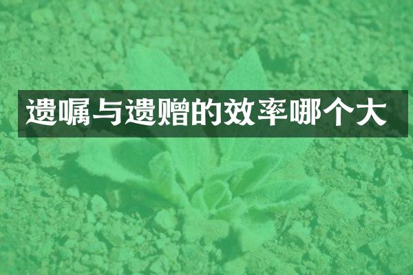 遗嘱与遗赠的效率哪个大