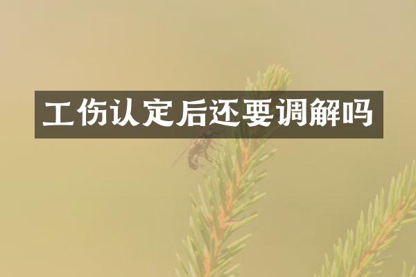 工伤认定后还要调解吗